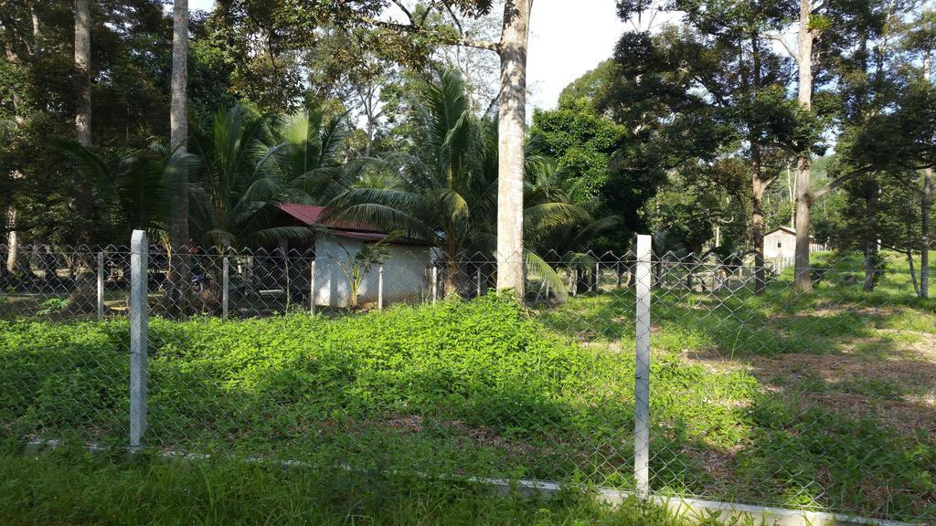 Chalet Kampong Semawar Kuala Kangsar Extérieur photo