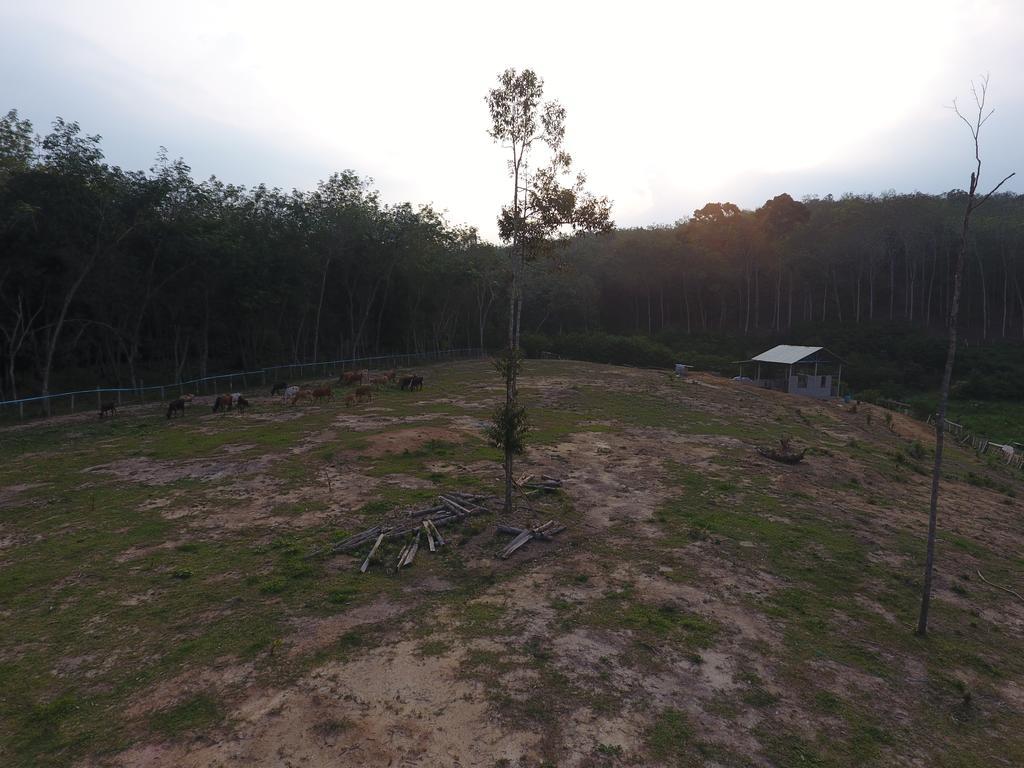 Chalet Kampong Semawar Kuala Kangsar Extérieur photo
